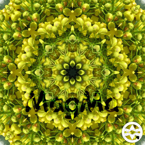 10-0260 Mandala z mahony