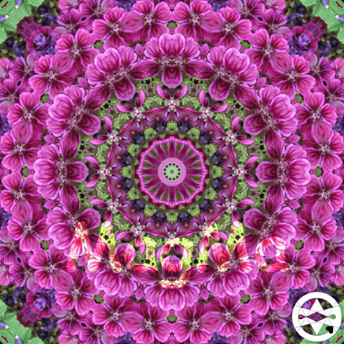10-0263 Mandala z maurského slézu