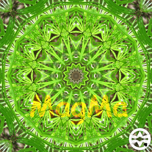 10-0267 Mandala modřínová