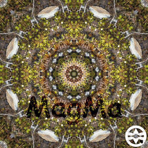 10-0276 Mandala z přírodní skalky