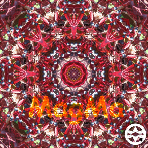 10-0293 Mandala z psího vína
