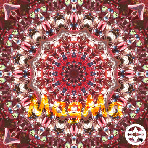 10-0295 Mandala z psího vína