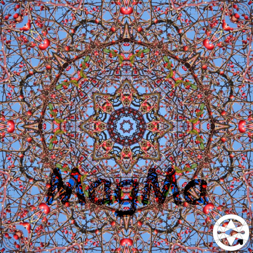 10-0311 Mandala šípková
