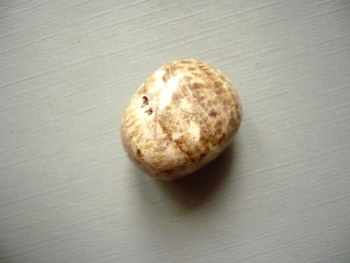 Troml. – aragonit 22 mm, č.63f