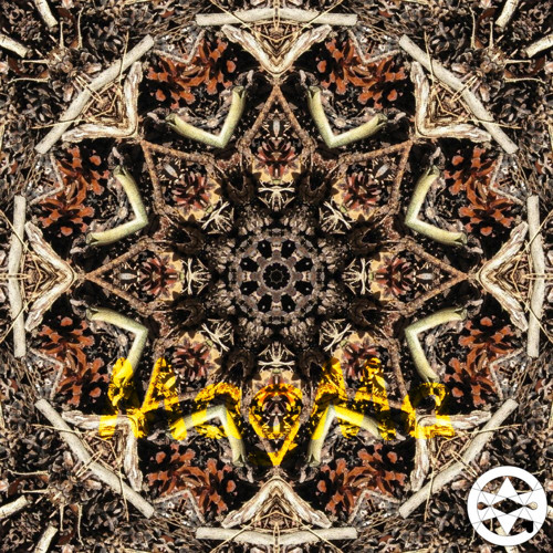 10-0313 Mandala z borových šišek