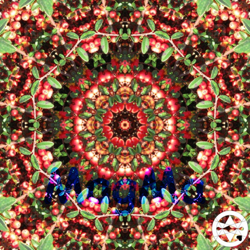 10-0314 Mandala ze skalníku