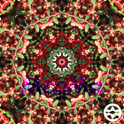 10-0316 Mandala ze skalníku