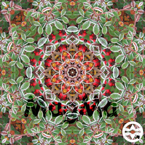 10-0317 Mandala z namrzlého skalníku