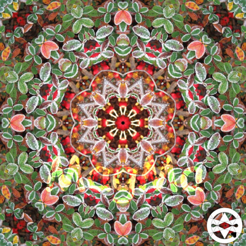 10-0321 Mandala z namrzlého skalníku
