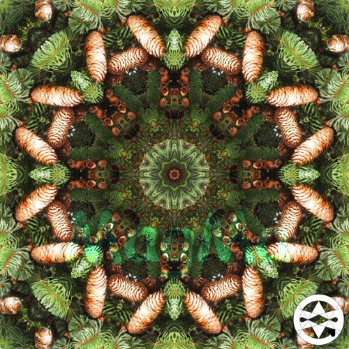 10-0333 Mandala smrková