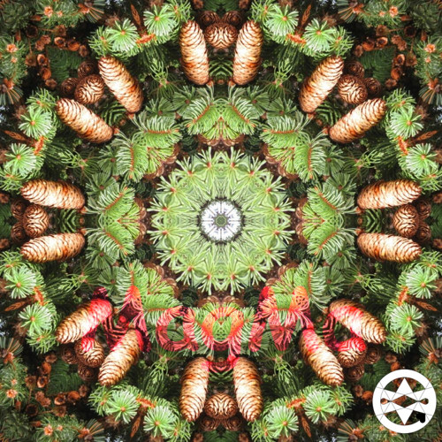 10-0334 Mandala smrková