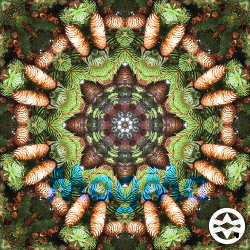10-0335 Mandala smrková
