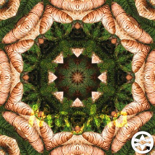 10-0339 Mandala smrková