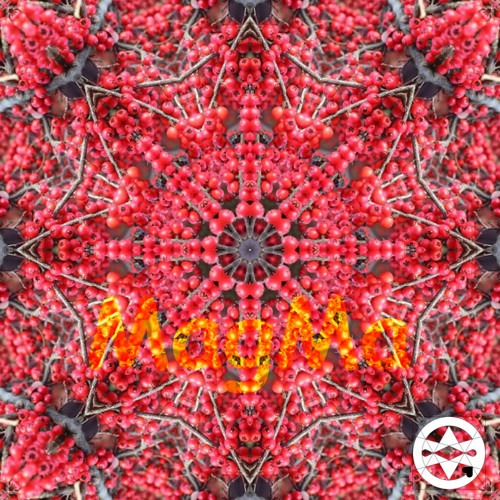 20-0002 Mandala z červených bobulí
