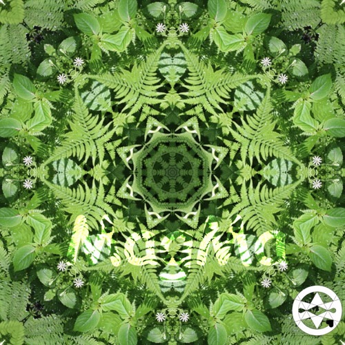 20-0011 Mandala z kapradí