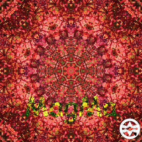 20-0014 Mandala z červených lístečků