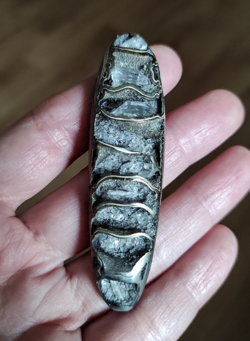 Pyritový Amonit, ID 2964, 70x19 mm