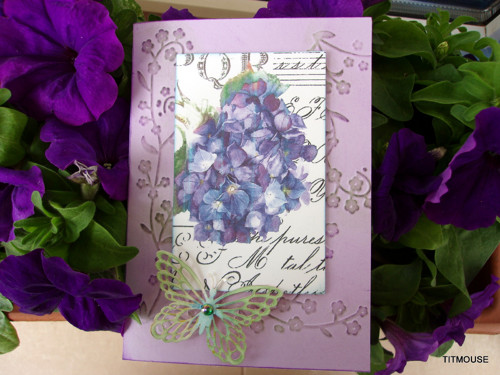 Hydrangea II — foto 1