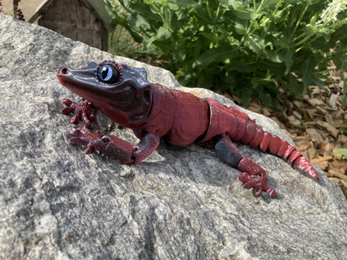 Pagekon hrbolkohlavý - 26 cm, 3D tisk — foto 1