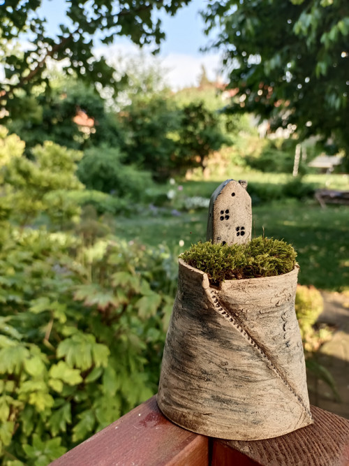 Mechová zahrádka — foto 1