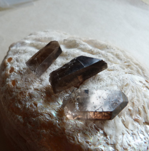 Záhněda - krystal - 3 ks (Z3/1)