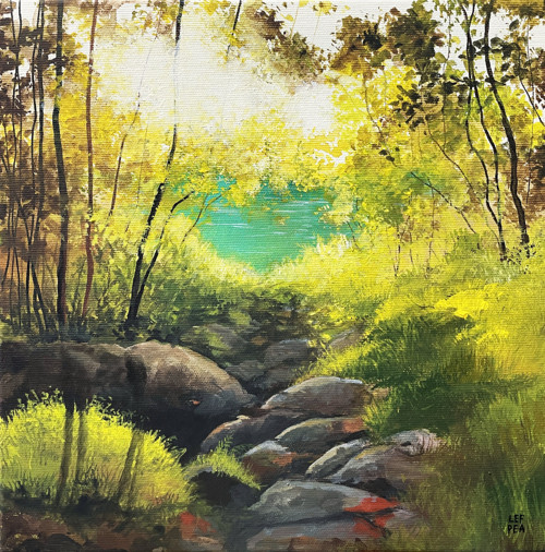 Cesta lesem - 30x30cm — foto 1