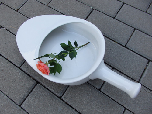Porcelánový bažant