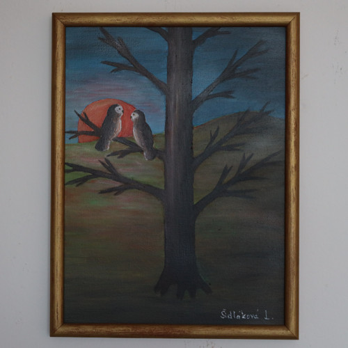 Večerní rozhovor