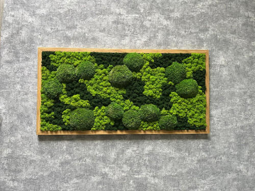 Mechový obraz 80x40cm