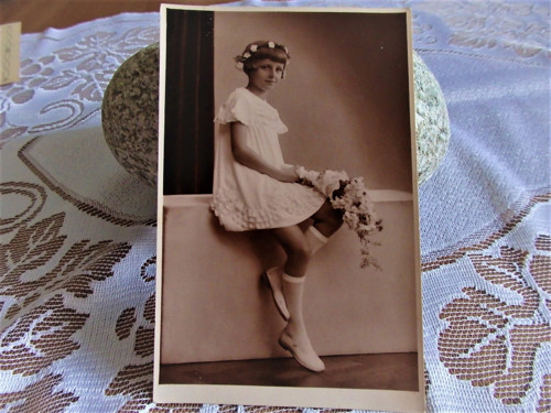 Družička - fotografie — foto 1
