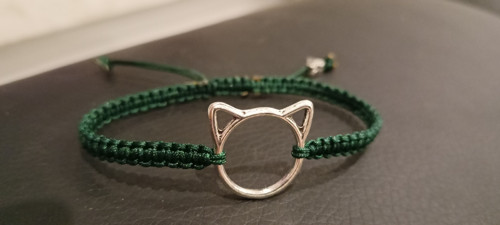 Kočičí Shamballa