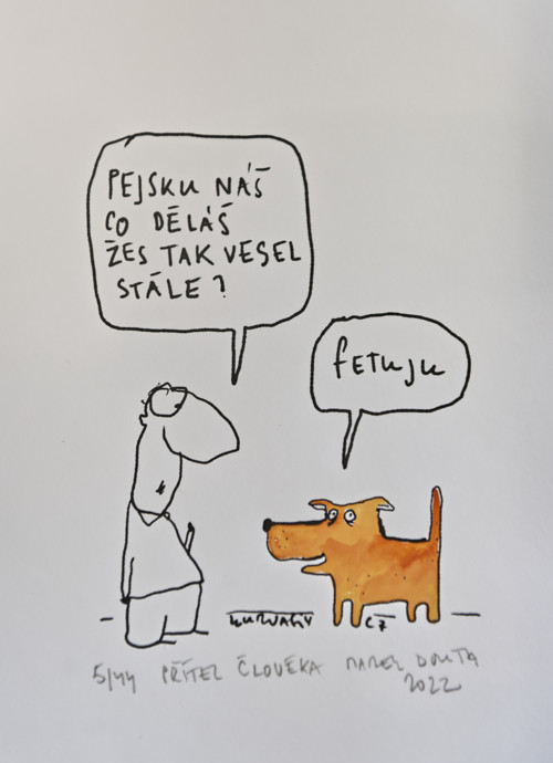 Pejsek — foto 1