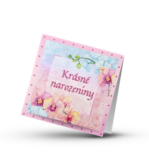 Něžná krása orchidejí