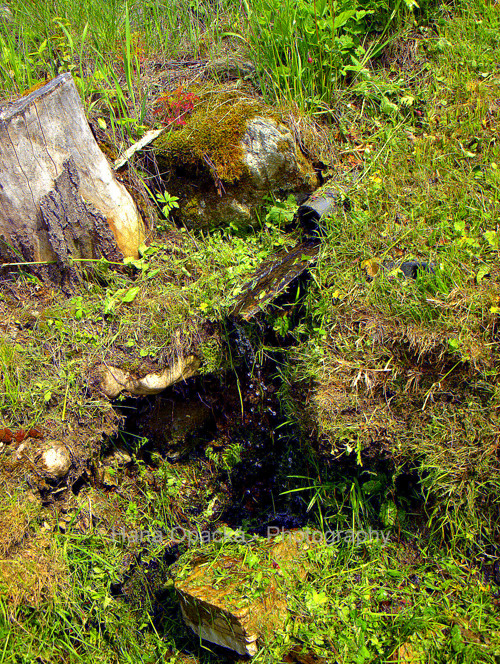 Pramínek Krkonoše