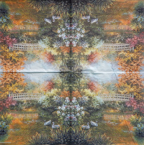 Bílé labutě 4171 — foto 1
