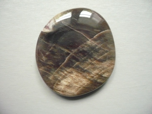 Placka - zkamenělé dřevo 45 mm, č.1119f