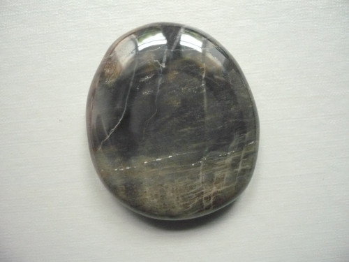 Placka - zkamenělé dřevo 42 mm, č.1120f
