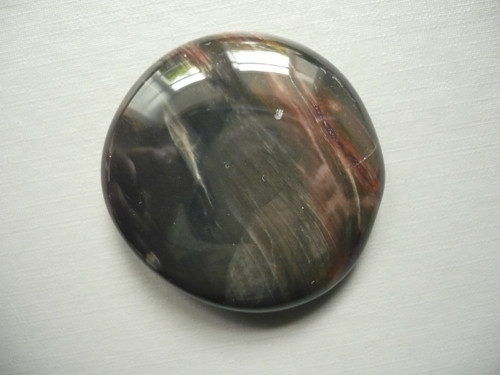 Placka - zkamenělé dřevo 41 mm, č.1132f
