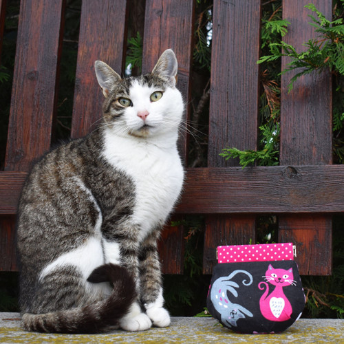 Mincovka "Kočičky" — foto 1