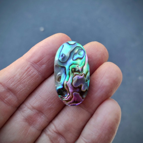 Abalone/Abalon, ID 3059, 27x14 mm