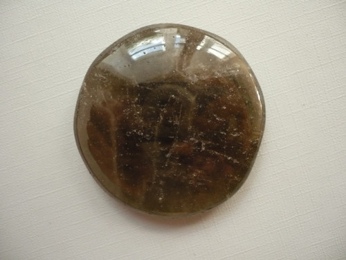 Placka - záhněda 47 mm, č.465f