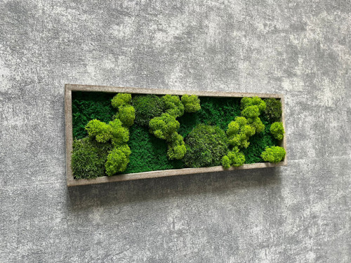 Mechový obraz 40x14cm