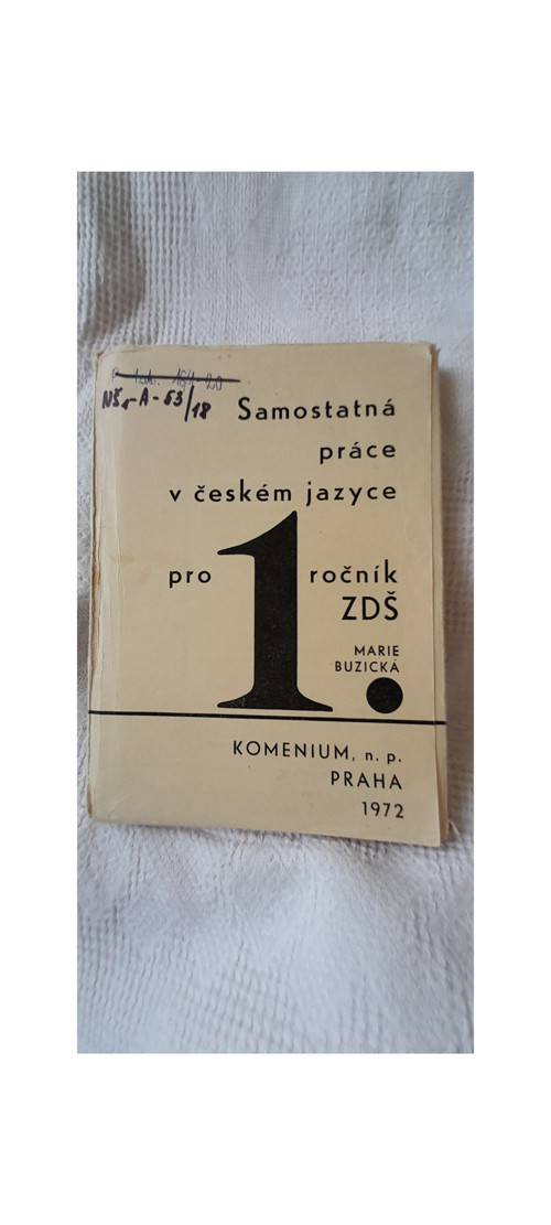 Samostatná práce v českém jazyce — foto 1