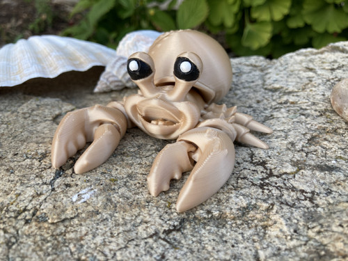 Flexi krabík Poustevníček - kluk, 3D tisk — foto 1