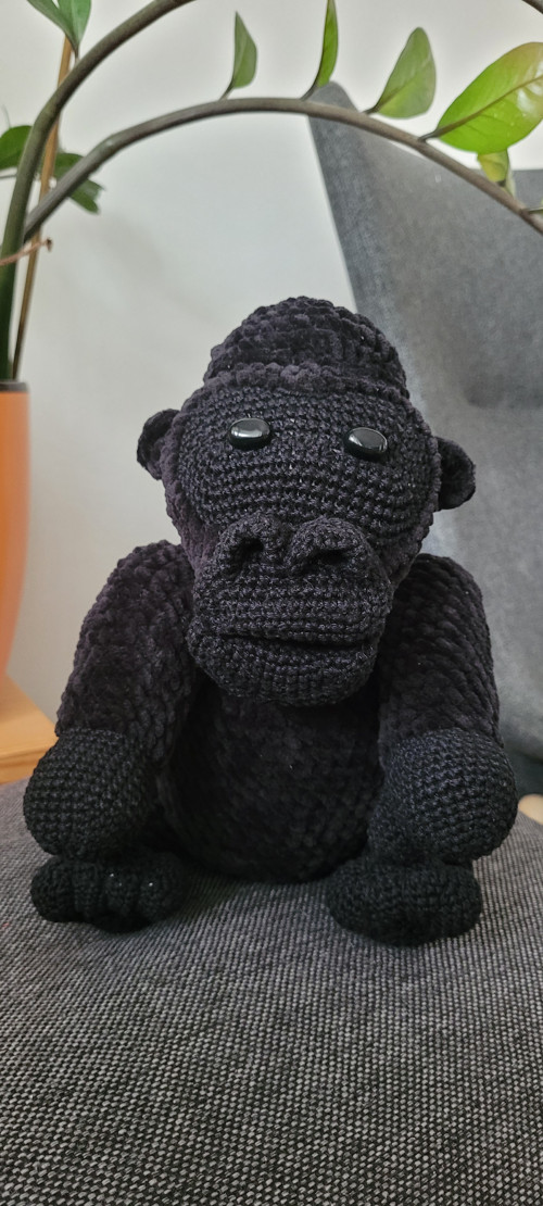 Gorila na přání — foto 1