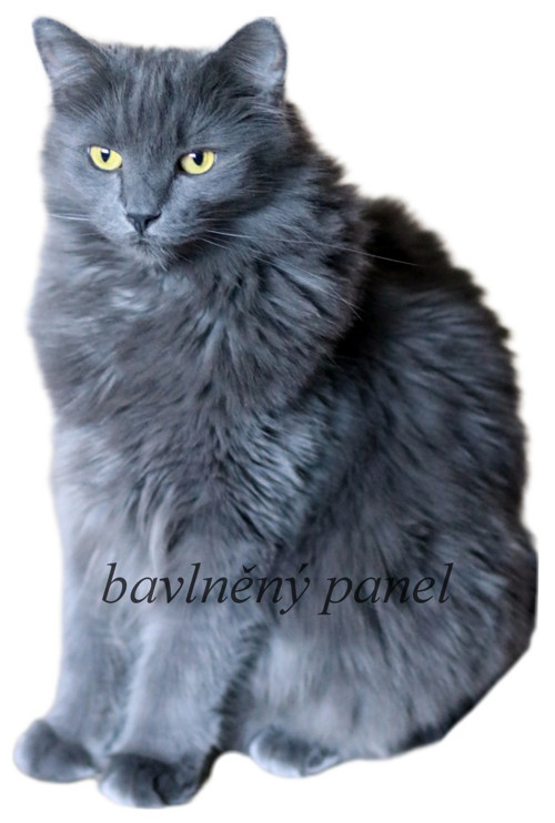 Bavlněný panel KOC 183 — foto 1