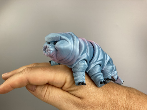 Flexi Želvuška S - modrá, 3D tisk — foto 1