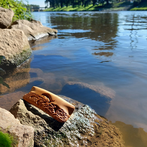 Skákající delfín — foto 1