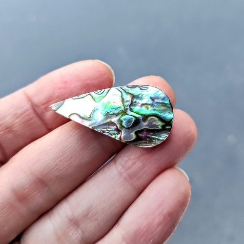 Abalone/Abalon, ID 3106, 32x15 mm