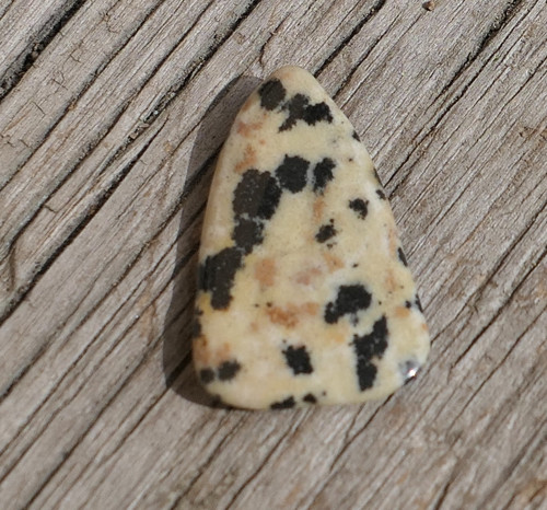 Jaspis dalmatin (22 mm) V185 — foto 1